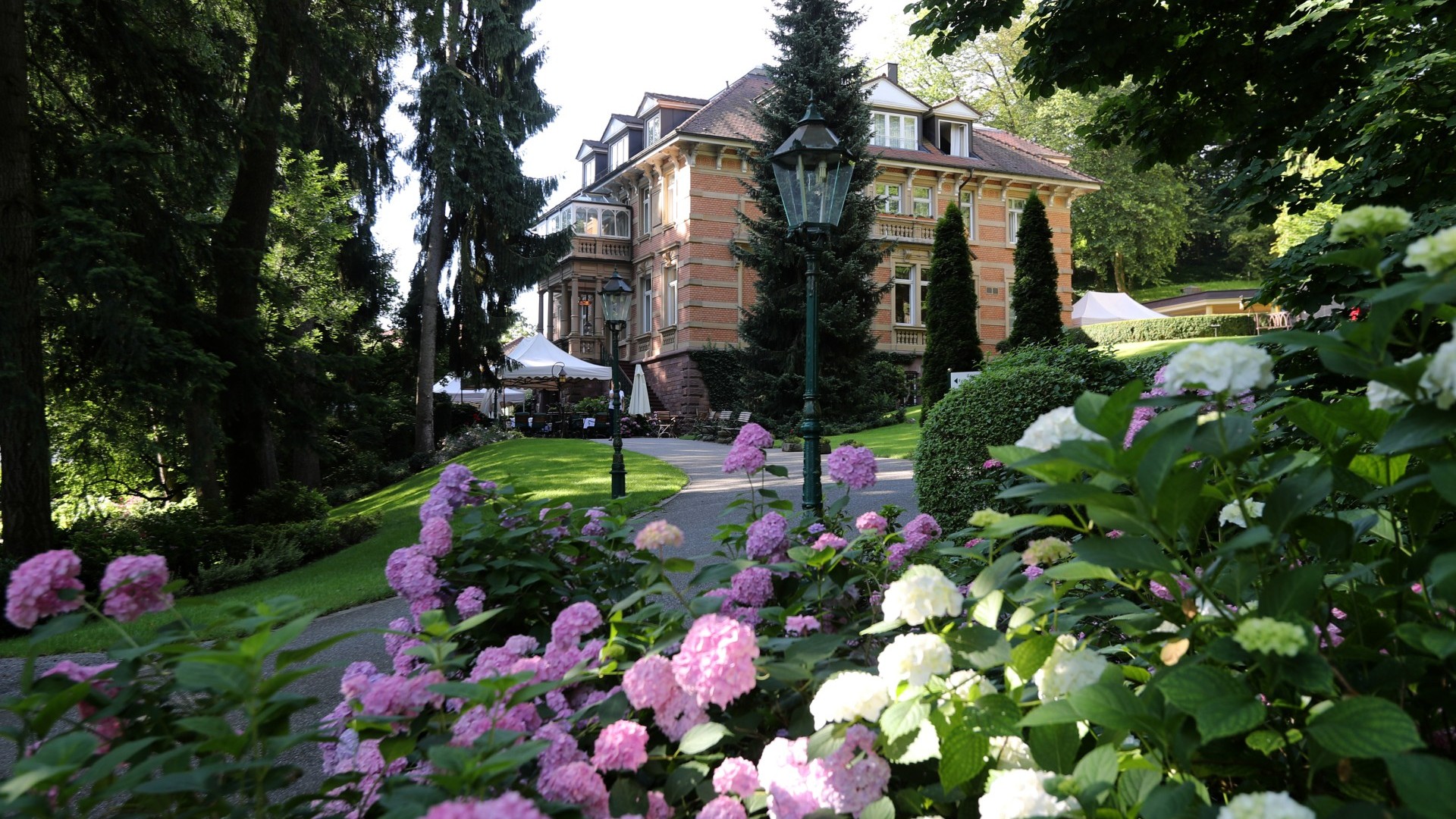 Villa Hammerschmiede_Aussenaufnahme Hortensien