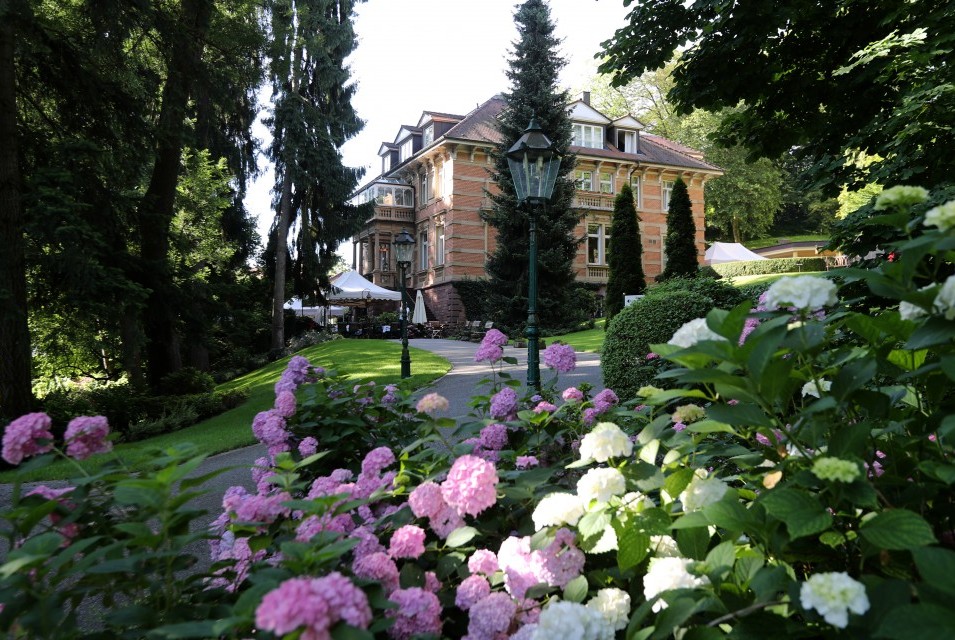 Villa Hammerschmiede_Aussenaufnahme Hortensien